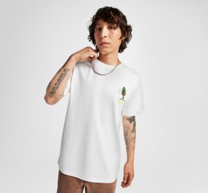 Converse All Star Tree T-shirt Białe | 014875-ECR