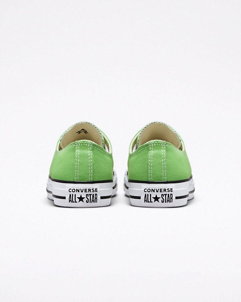 Converse Chuck Taylor All Star Seasonal Color Virtual Matcha | 416980-CID